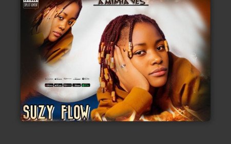 Suzy Flow - Outro Nível 