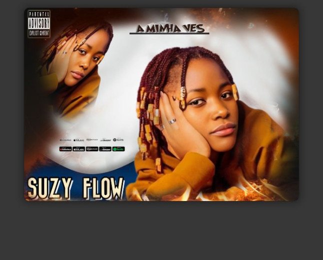 Suzy Flow - Outro Nível 
