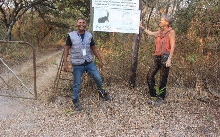 Safari no Parque Nacional de Cangandala: Palanca Negra Gigante