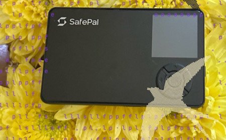 SafePal identifica vazamento de dados de 40 mil clientes